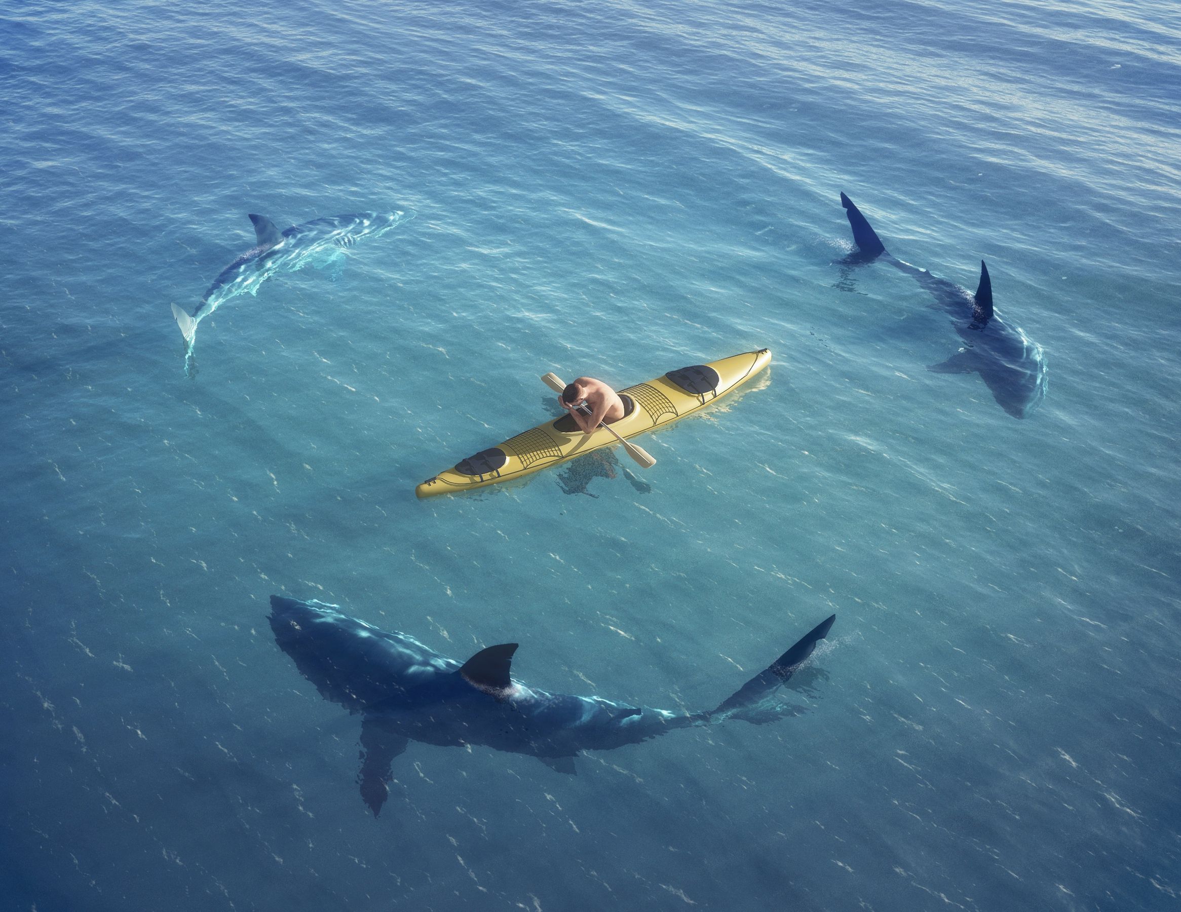 Нападение в море. Акула напала в Хургаде 2023. Нападение акулы в Египте в Хургаде 2023. Нападение акулы в Египте в 2023 году.