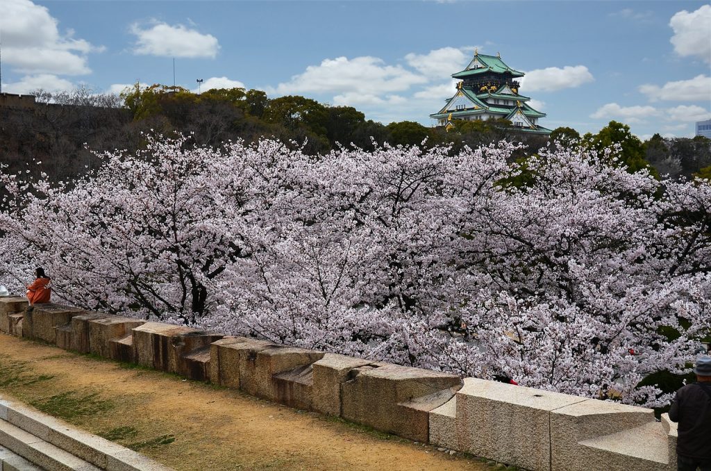 Bakancslistás: 10 nap Japán cseresznyefa virágzás idején: Oszakában, 4 csillagos szállással és repjeggyel: 288.500 Ft-ért!