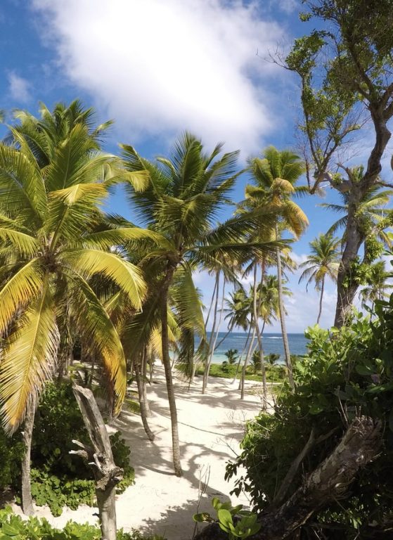 10 napos nyaralás a csodás Karibi Martinique szigetén 390.000 Ft-ért!