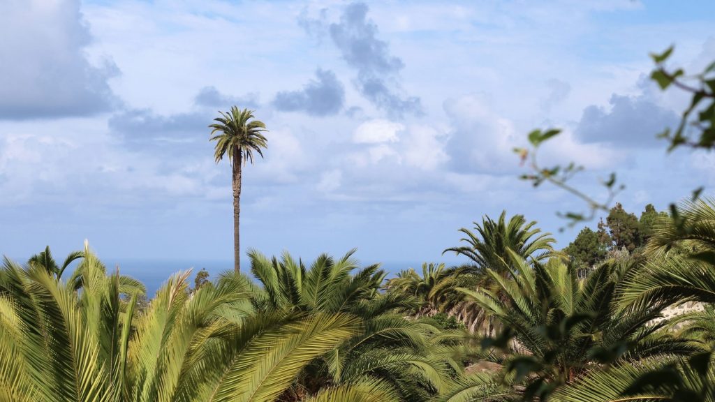 Télből nyárba: egy hetes nyaralás a Gran Canarian 96.650 Ft-ért!