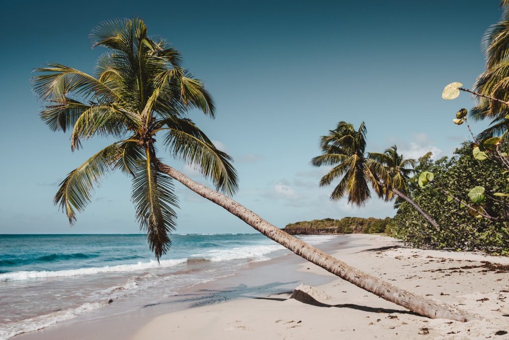 Karibi kirándulás: 12 napos utazás Martinique szigetére 342.000 Ft-ért!
