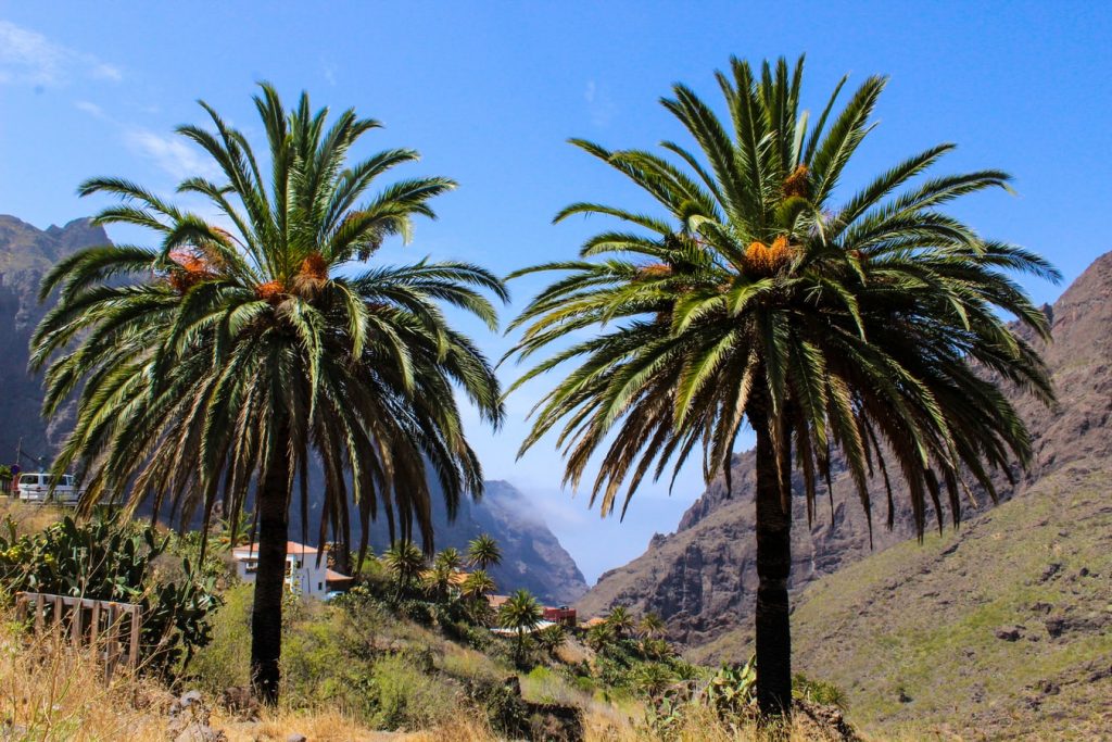 Télből nyárba: Egy hét Tenerife szállással és repülővel 77.450 Ft-ért!
