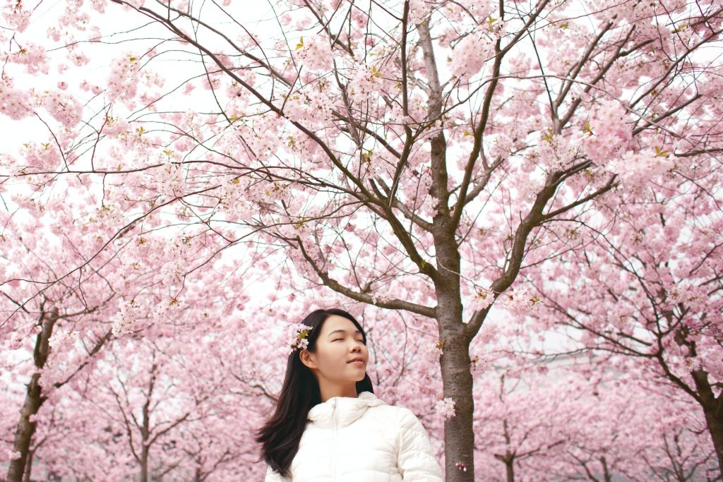 Bakancslistás álom: Egy hetes utazás Japánba a cseresznyevirágzás idején 396.300 Ft-ért!