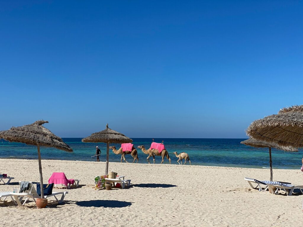Tunézia: Egy hetes utazás Djerbába 5*-os hotellel, All Inclusive ellátással, repülővel 165.000 Ft-ért!