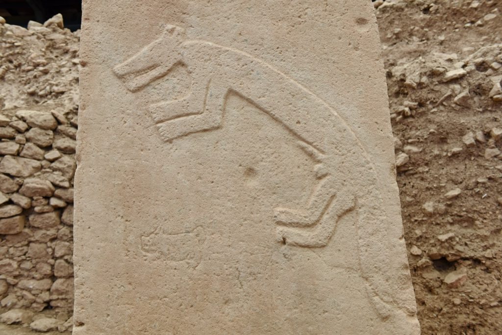 Göbeklitepe lelőhely B épületében talált stilizált embert formáló obeliszk kövének állatalakos díszítése: róka domborműves ábrázolása. (Fotó: Necmi Karul)