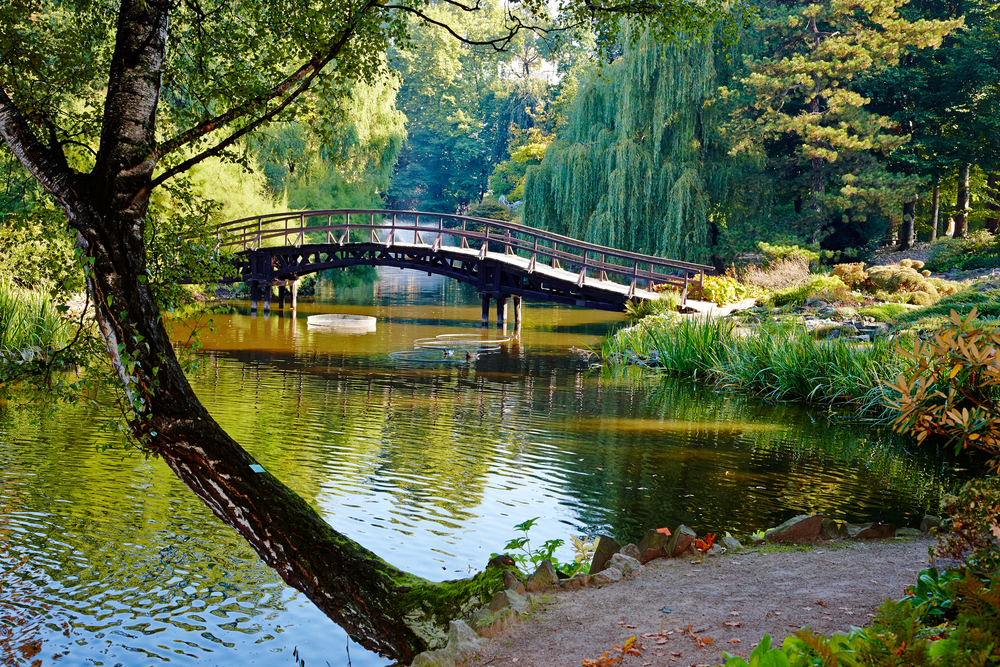 Wroclaw, botanikus kert