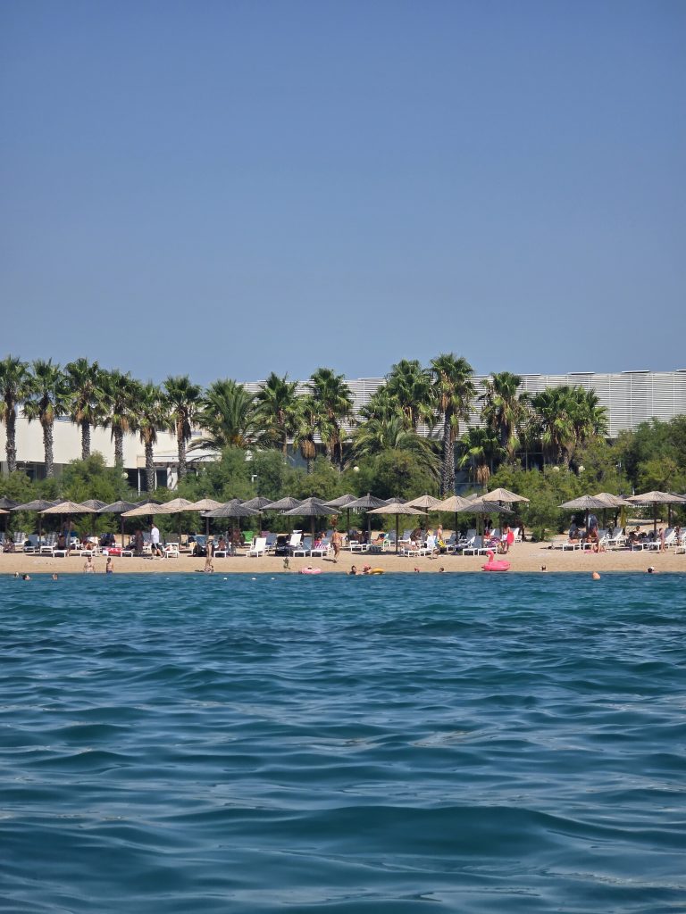 A gyerekbarát hotel előtti pálmafasor.