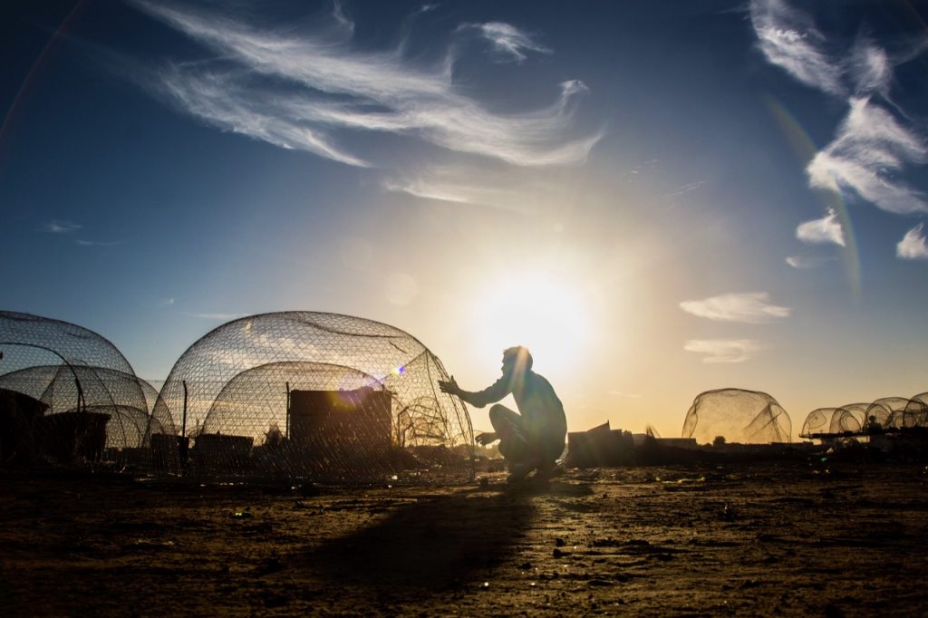 Ajmanban a halászat fontos hagyomány és gazdasági tevékenység, ahol a helyiek hagyományos módszerekkel és modern felszereléssel egyaránt fogják a Perzsa-öbölben honos halfajokat, mint a királyhalat és a hamourt.