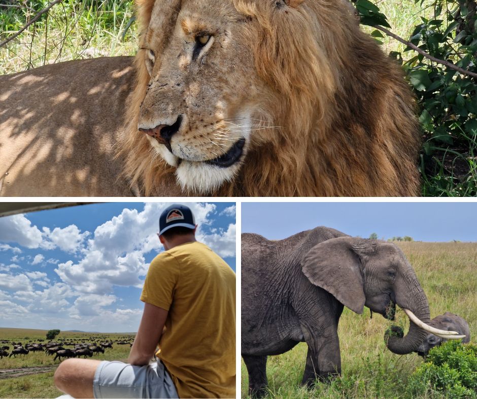 Masai Mara Nemzeti Rezervátum, Kenya. Samsung Galaxy készülékkel készült.