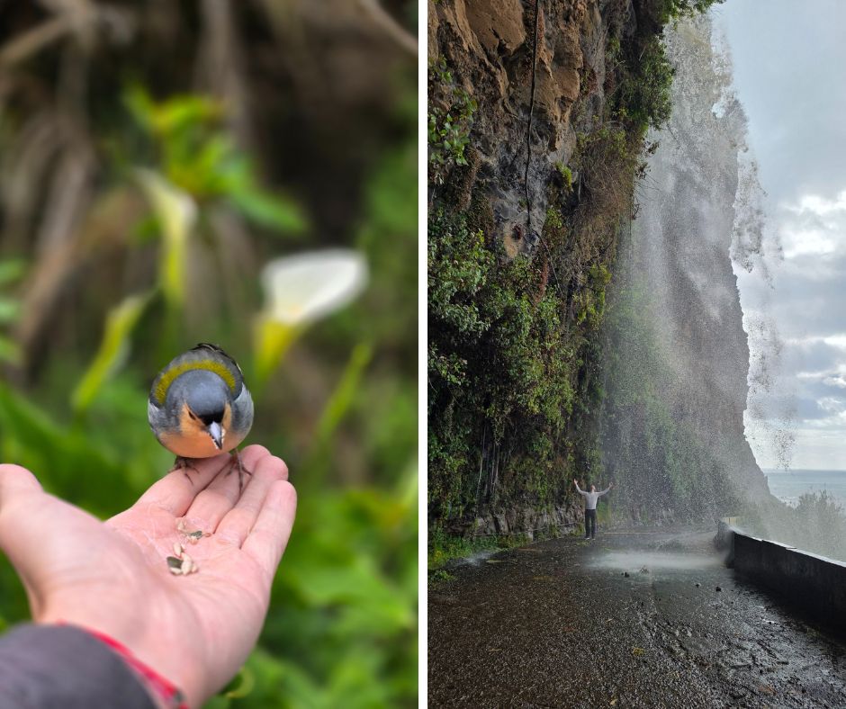 1. fotó: PR10 Levada do Furado, Madeira. 2. fotó: Cascata dos Anjos. Samsung Galaxy készülékkel készült.