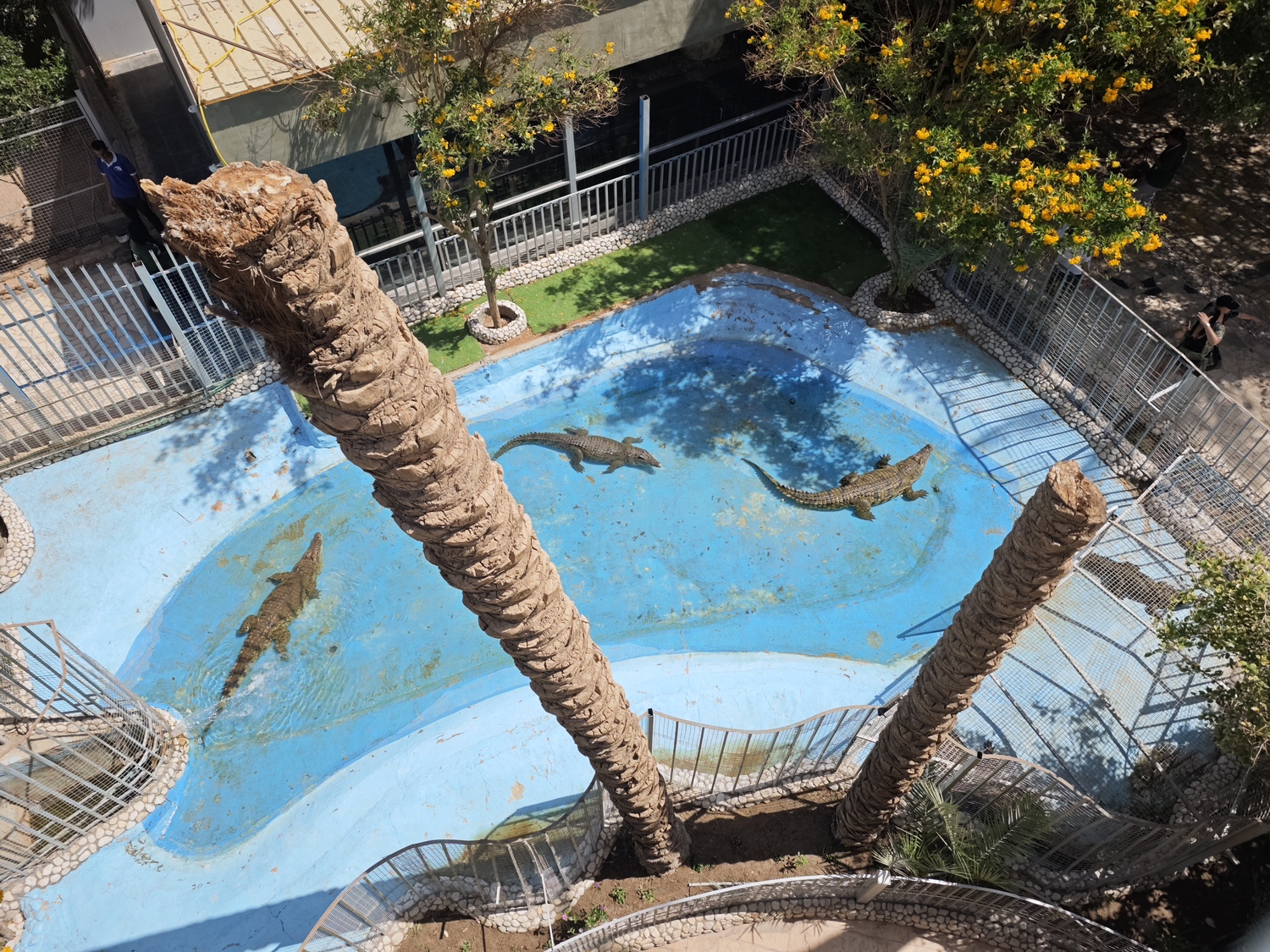 Hurghada élményei: Giftun-sziget, Orange Bay, delfinek, Hulu Beach és Grand Aquarium egy utazásban