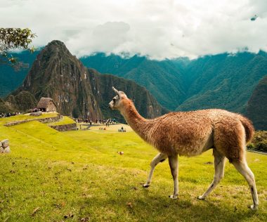 Életed kalandja: 10 nap Peru, Lima 4 csillagos szállással és repülővel: 292.650 Ft-ért!