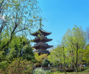 Leesik az állad: 9 napos utazás Japánba, Tokióba 188.700Ft-ért!