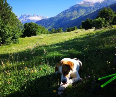 Egy hetes felejthetetlen utazás Grúziába tavasszal szállással és repülővel 64.200 Ft-ért!