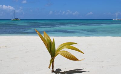 Álomutazás Punta Canara: 10 napos utazás a Dominikai Köztársaságba 343.000 Ft-ért!