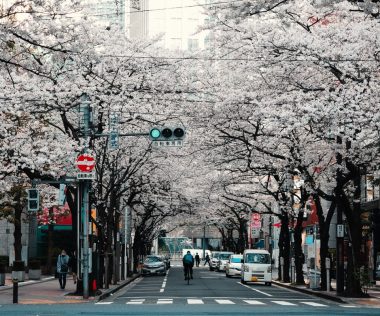 Felejthetetlen: 9 napos utazás Japánba, Tokióba 214.200 Ft-ért!