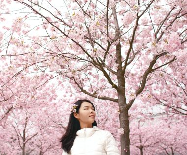 Bakancslistás álom: Egy hetes utazás Japánba a cseresznyevirágzás idején 396.300 Ft-ért!