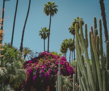 Egy hetes utazás Marokkóba, Marrakechbe 102.900 Ft-ért!