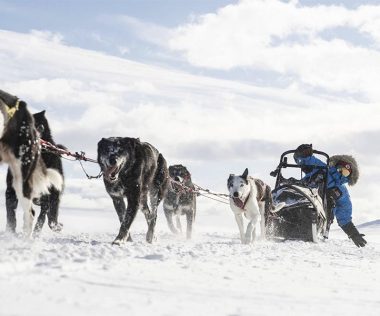 Elindult a jelentkezés a Fjällräven Polar sarkvidéki expedícióra – ingyenes