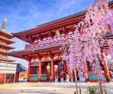 Sakura, sushi, ősi kultúra – eláruljuk, mikor repülj Tokióba a legjobb áron!