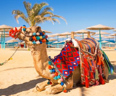 Télből nyárba: egy hetes all inclusive utazás Egyiptomba, Hurghadába 117.420 Ft-ért!