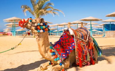 Télből nyárba: egy hetes all inclusive utazás Egyiptomba, Hurghadába 117.420 Ft-ért!