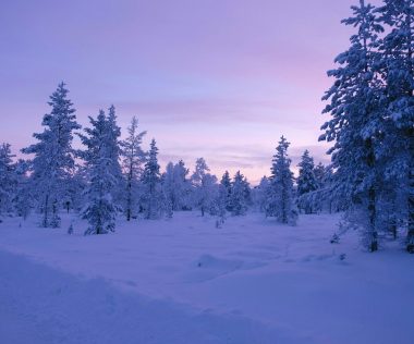 Retúr repülőjegy Lappföldre télen 60.100 Ft-ért! Sarki fény, végtelen hómezők, szuper programok!