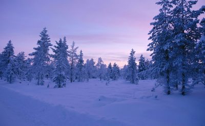 Retúr repülőjegy Lappföldre télen 60.100 Ft-ért! Sarki fény, végtelen hómezők, szuper programok!
