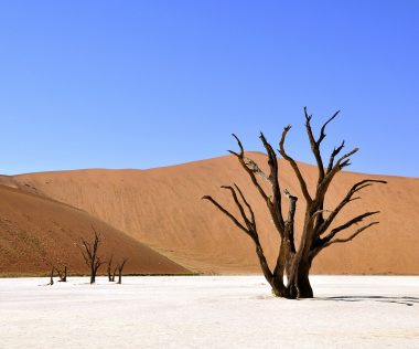 8 nap Zambia, Viktória vízesés Bécsből!