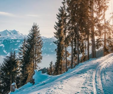 Különlegesség: 5 napos síelés Grúziában (Gudauri) szállással és repülővel 91.850 Ft-ért!